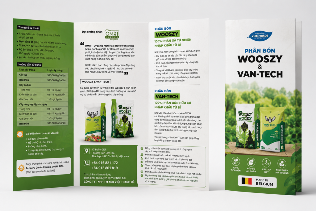 thiet-ke-flyer-in-an-Hai-Khoa