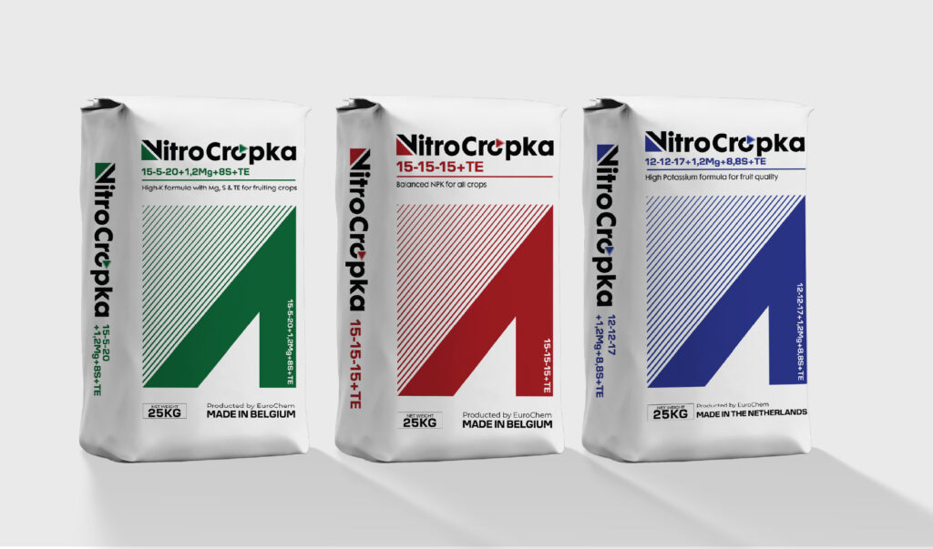 thiet-ke-bao-bi-in-an-Hai-Khoa